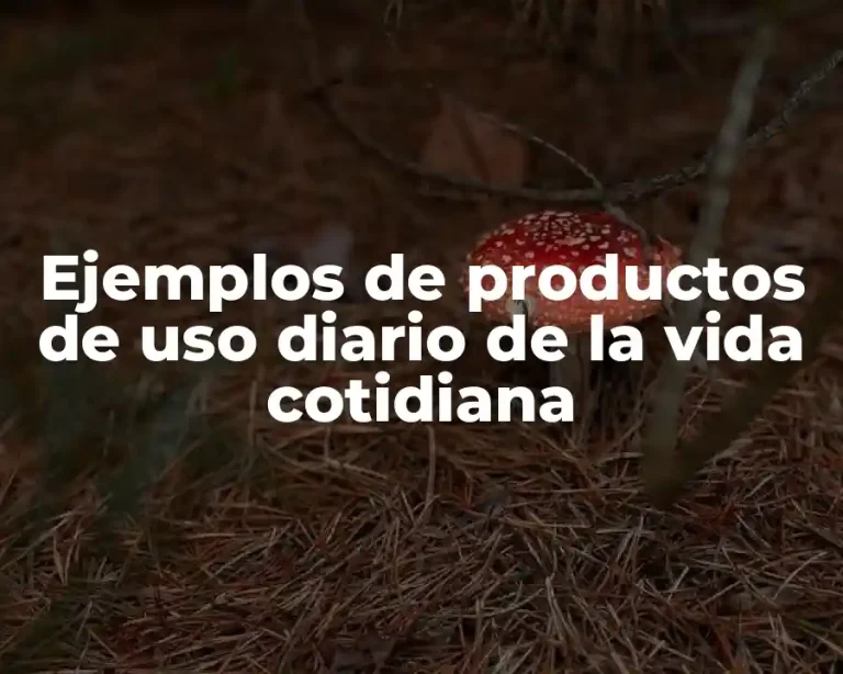 Ejemplos de productos de uso diario de la vida cotidiana