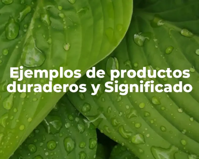 Ejemplos de productos duraderos y Significado