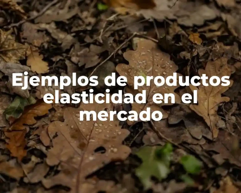 Ejemplos de productos elasticidad en el mercado