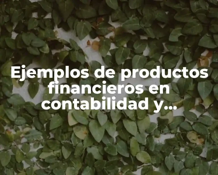 Ejemplos de productos financieros en contabilidad y Significado