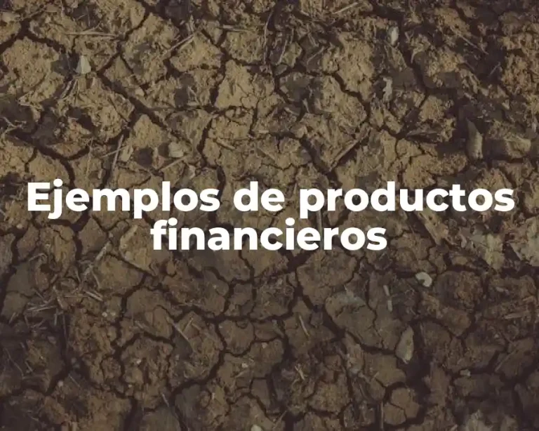Ejemplos de productos financieros