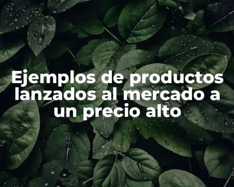 Ejemplos de productos lanzados al mercado a un precio alto