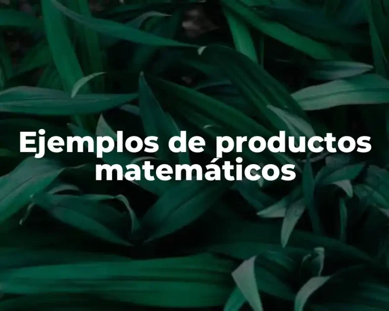 Ejemplos de productos matemáticos