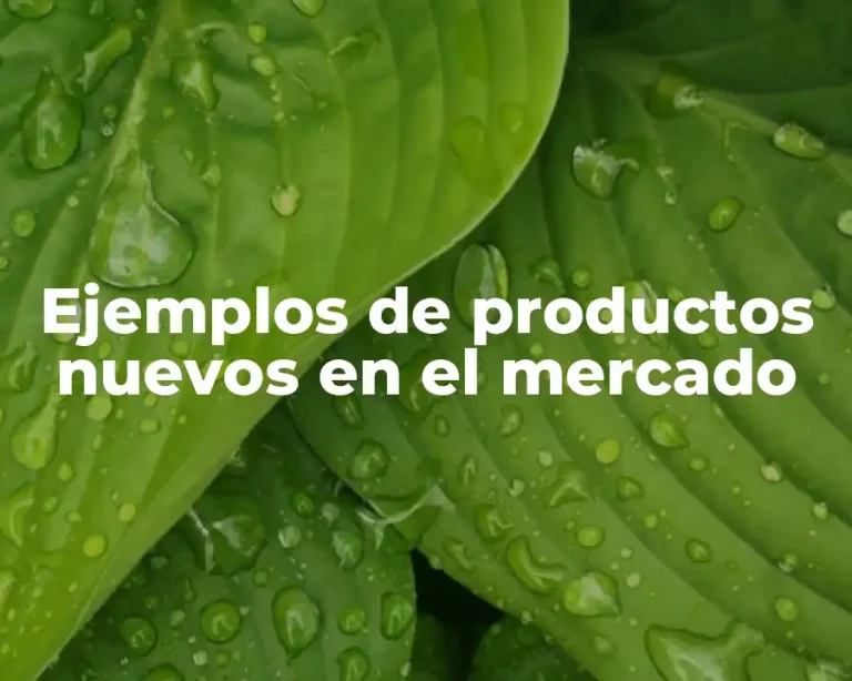 Ejemplos de productos nuevos en el mercado