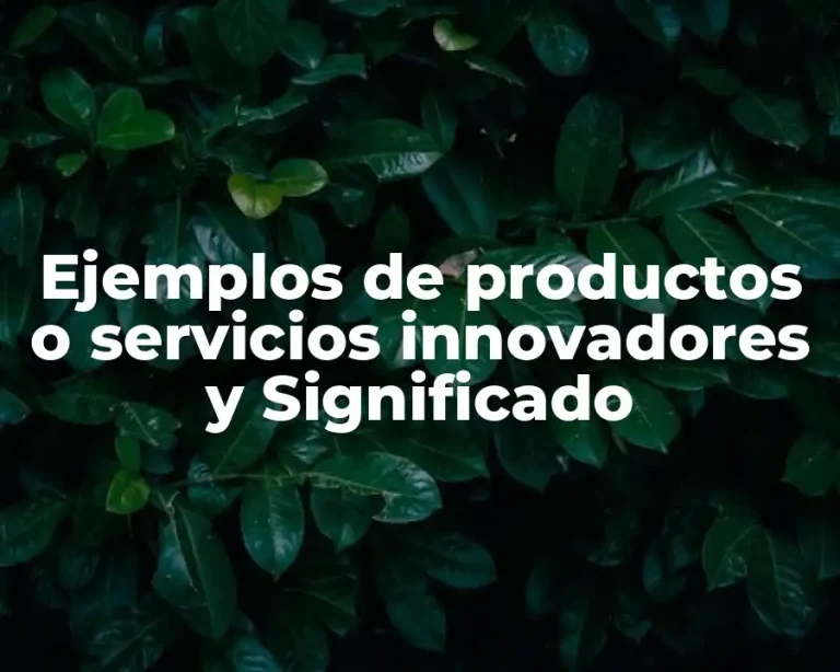 Ejemplos de productos o servicios innovadores y Significado