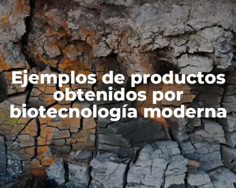 Ejemplos de productos obtenidos por biotecnología moderna