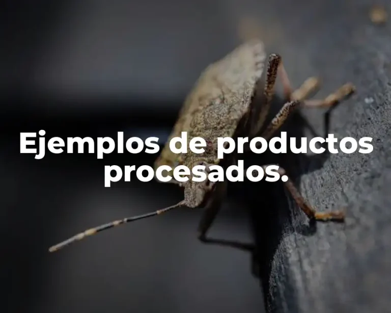 Ejemplos de productos procesados.