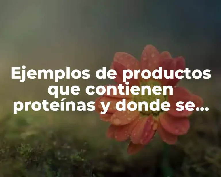 Ejemplos de productos que contienen proteínas y donde se encuentran