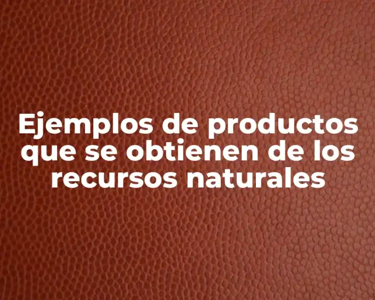 Ejemplos de productos que se obtienen de los recursos naturales