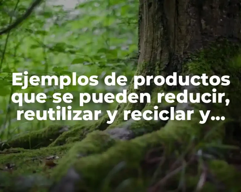 Ejemplos de productos que se pueden reducir, reutilizar y reciclar y Significado