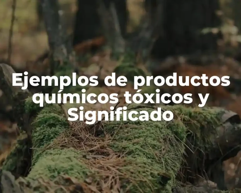 Ejemplos de productos químicos tóxicos y Significado