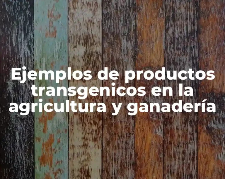 Ejemplos de productos transgenicos en la agricultura y ganadería