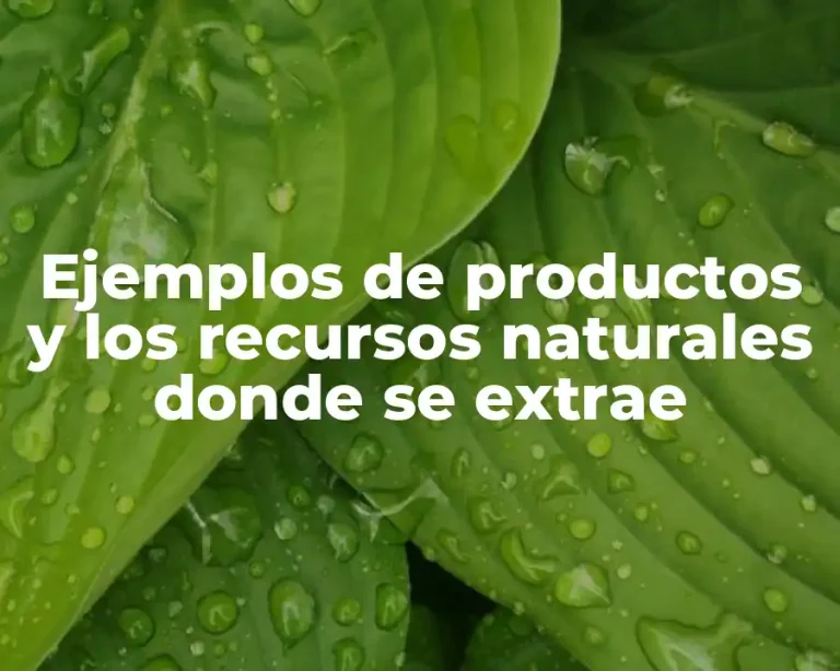 Ejemplos de productos y los recursos naturales donde se extrae