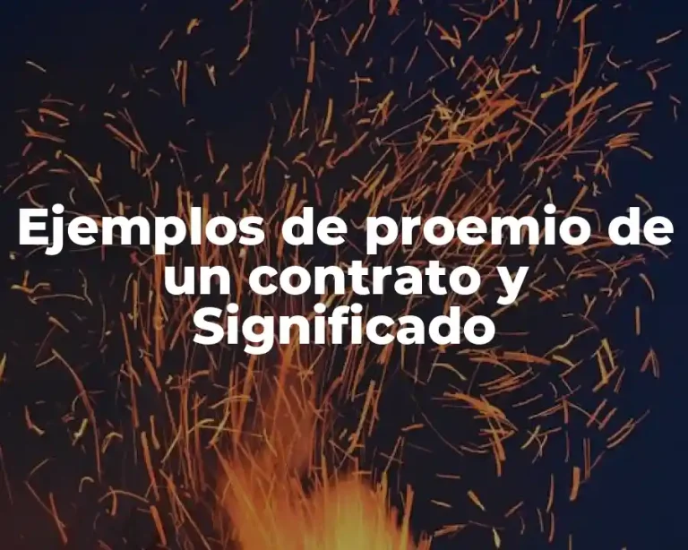 Ejemplos de proemio de un contrato y Significado