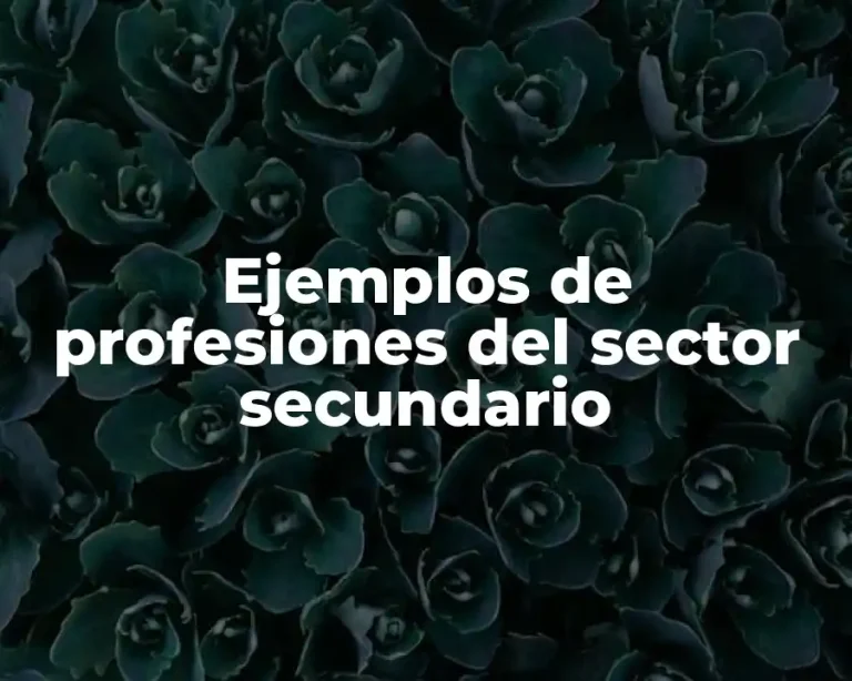 Ejemplos de profesiones del sector secundario