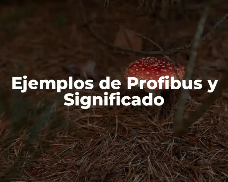 Ejemplos de Profibus y Significado