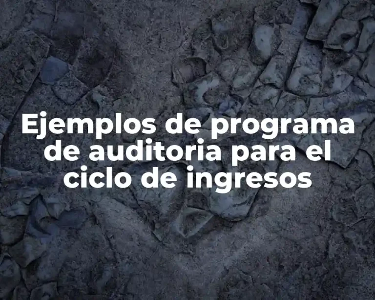 Ejemplos de programa de auditoria para el ciclo de ingresos