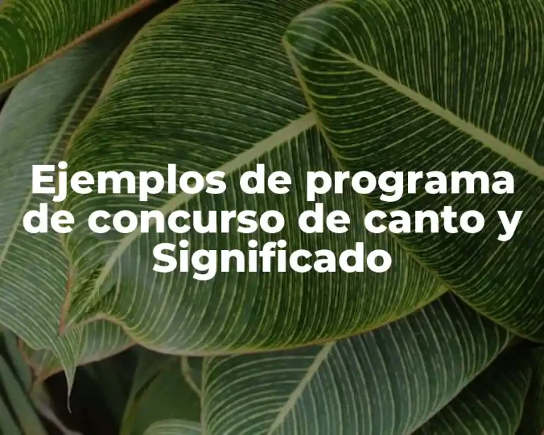 Ejemplos de programa de concurso de canto y Significado