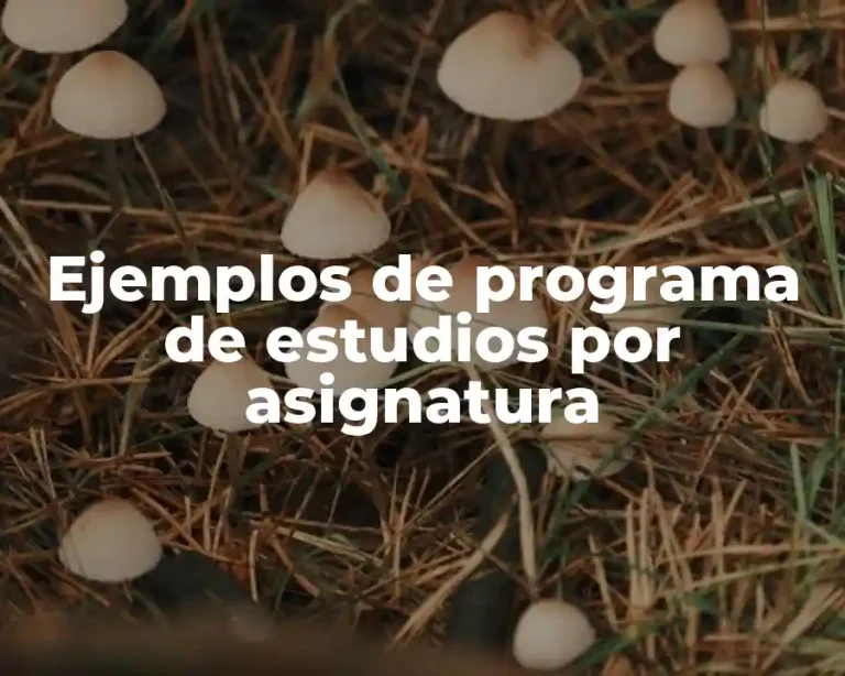 Ejemplos de programa de estudios por asignatura