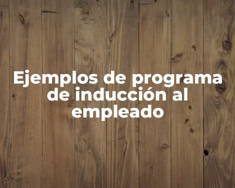 Ejemplos de programa de inducción al empleado