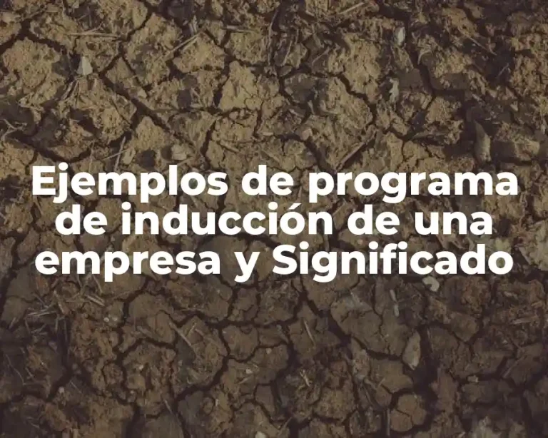 Ejemplos de programa de inducción de una empresa y Significado