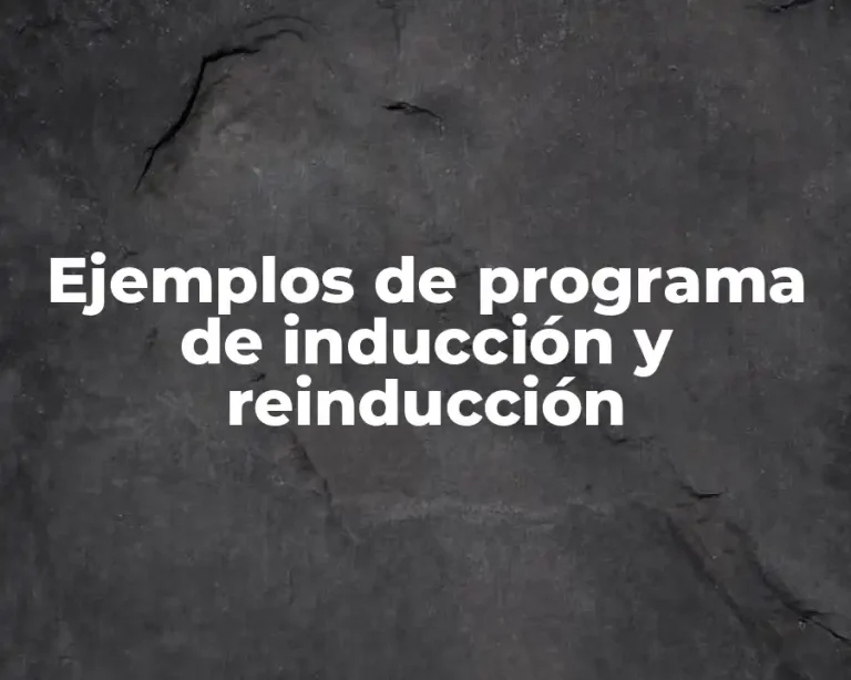 Ejemplos de programa de inducción y reinducción