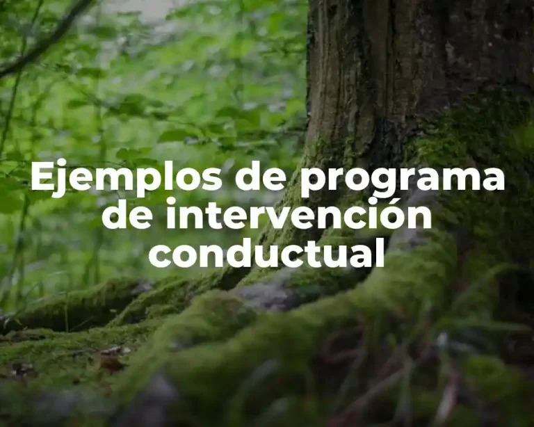 Ejemplos de programa de intervención conductual