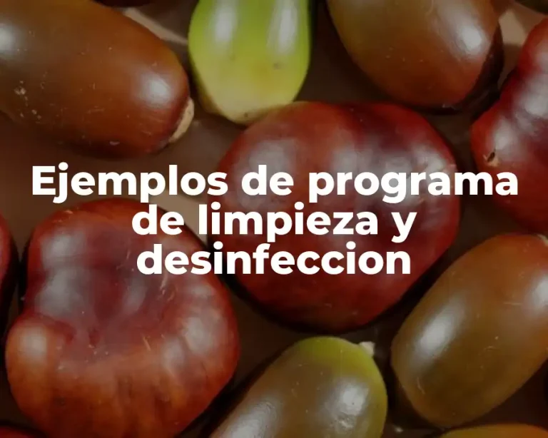 Ejemplos de programa de limpieza y desinfeccion
