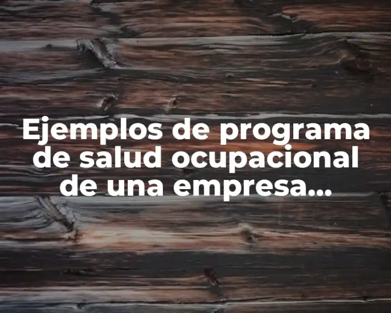Ejemplos de programa de salud ocupacional de una empresa pequeña