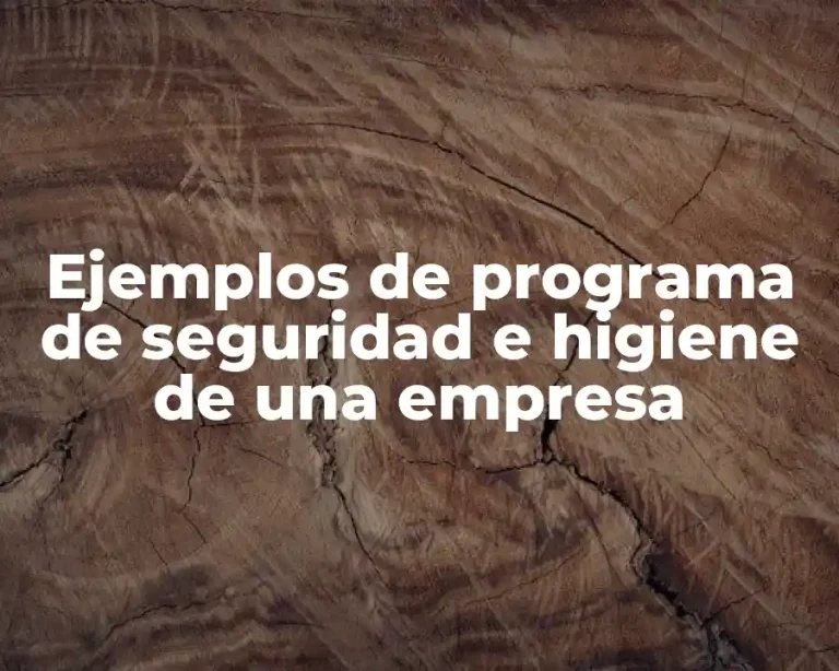 Ejemplos de programa de seguridad e higiene de una empresa