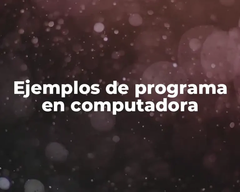 Ejemplos de programa en computadora