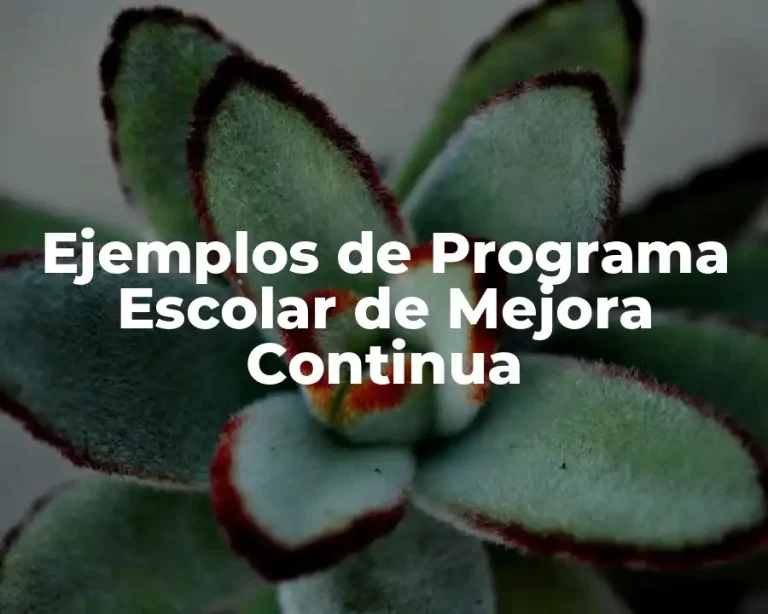 Ejemplos de Programa Escolar de Mejora Continua