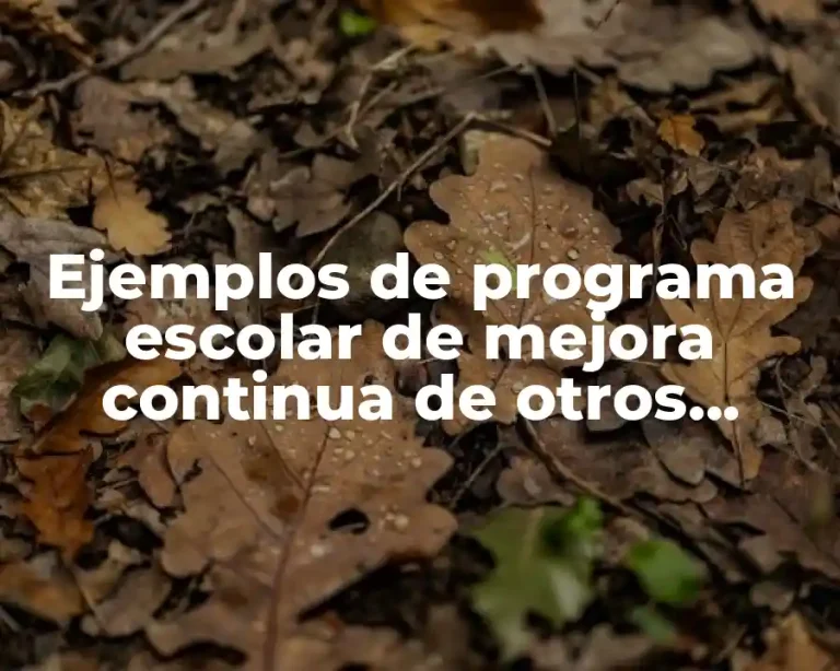 Ejemplos de programa escolar de mejora continua de otros estados