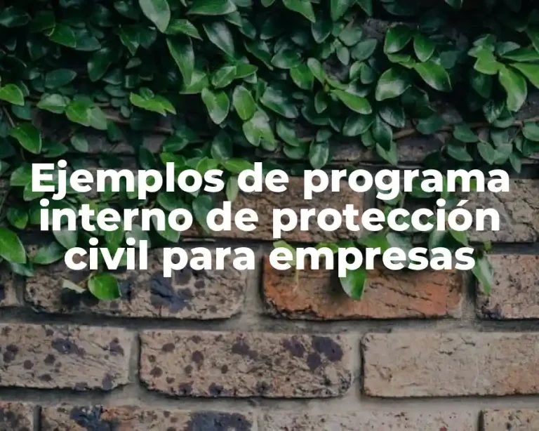 Ejemplos de programa interno de protección civil para empresas
