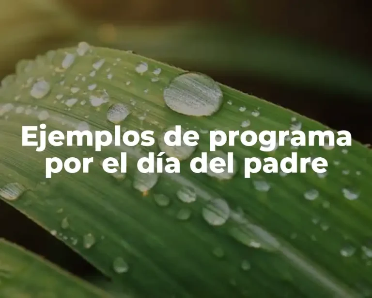Ejemplos de programa por el día del padre