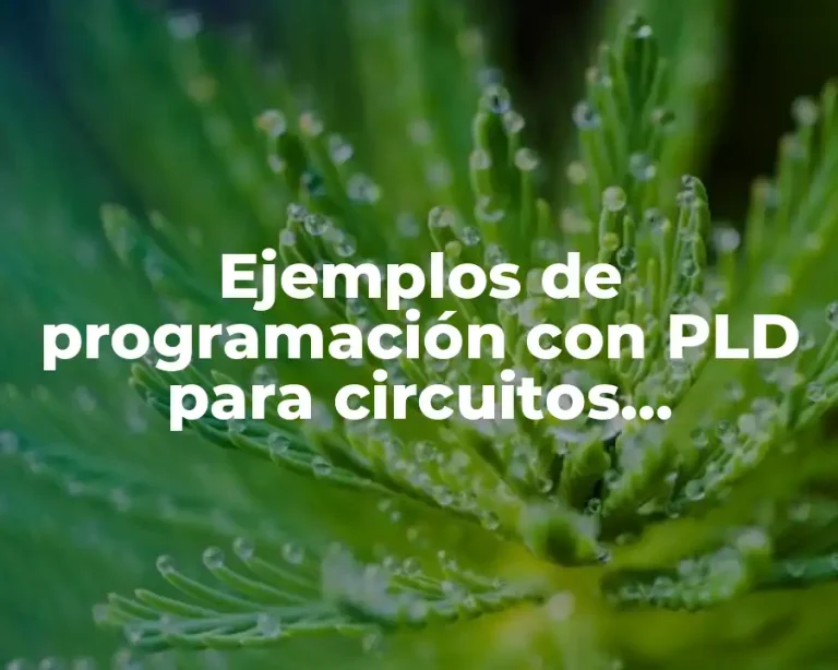 Ejemplos de programación con PLD para circuitos combinacionales