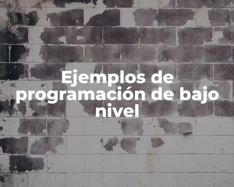 Ejemplos de programación de bajo nivel