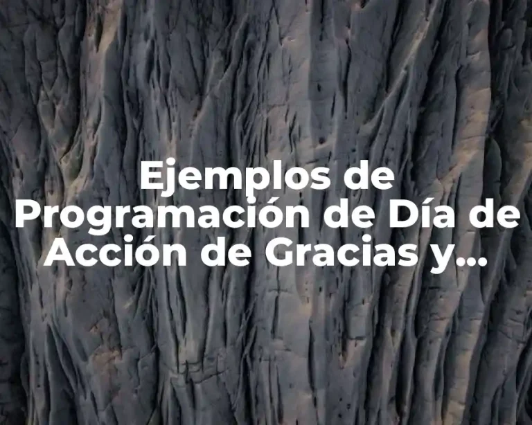 Ejemplos de Programación de Día de Acción de Gracias y Significado