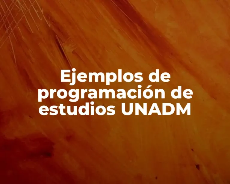 Ejemplos de programación de estudios UNADM
