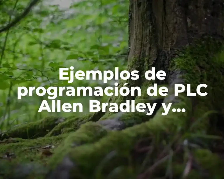 Ejemplos de programación de PLC Allen Bradley y Significado