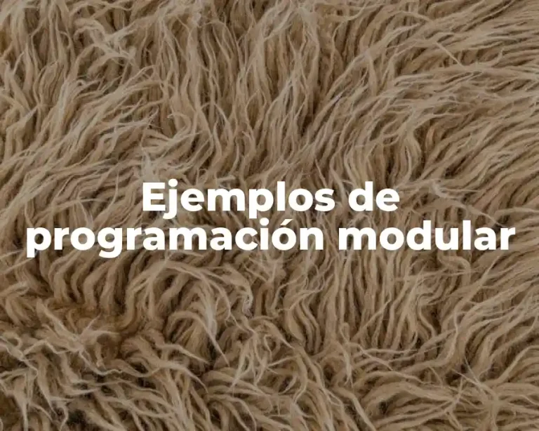 Ejemplos de programación modular