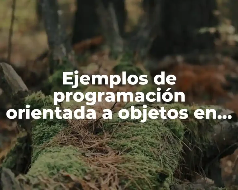 Ejemplos de programación orientada a objetos en Python