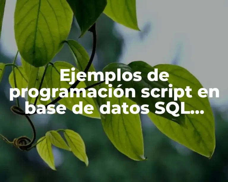 Ejemplos de programación script en base de datos SQL Server