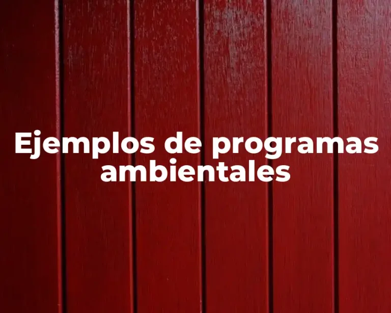 Ejemplos de programas ambientales