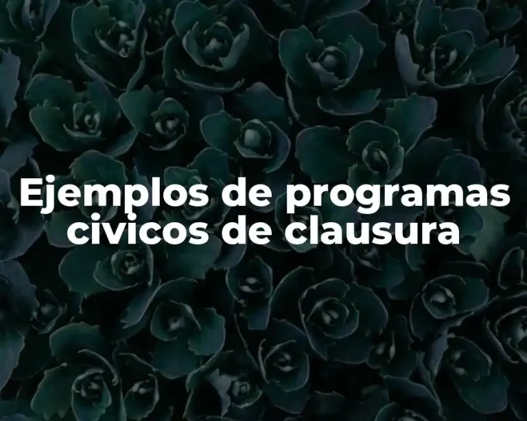 Ejemplos de programas civicos de clausura
