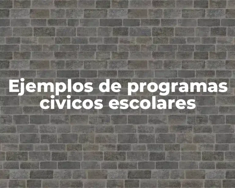 Ejemplos de programas civicos escolares