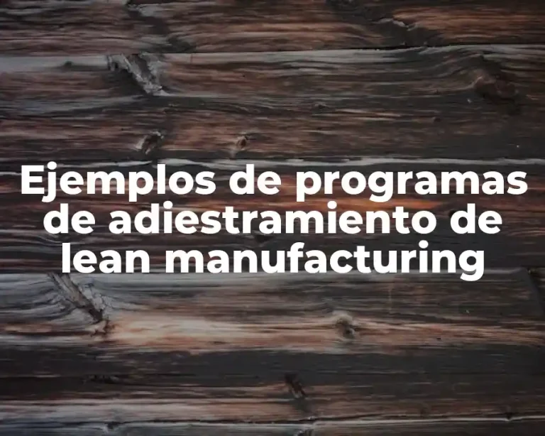 Ejemplos de programas de adiestramiento de lean manufacturing