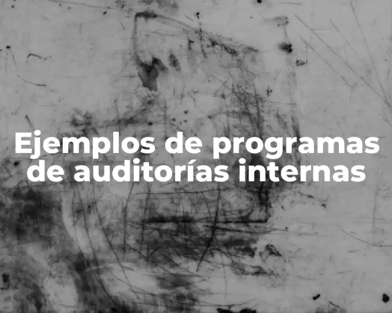 Ejemplos de programas de auditorías internas