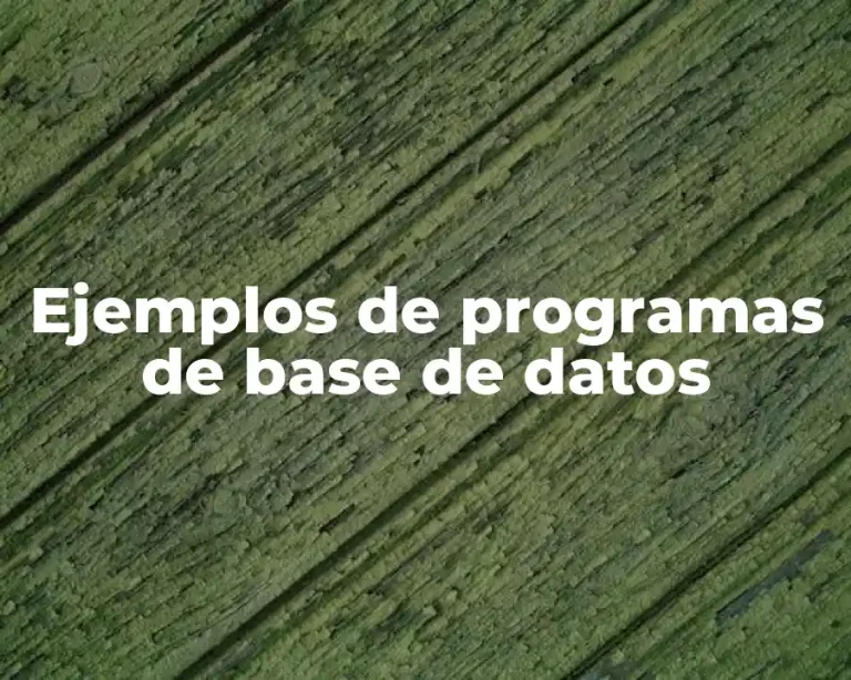 Ejemplos de programas de base de datos