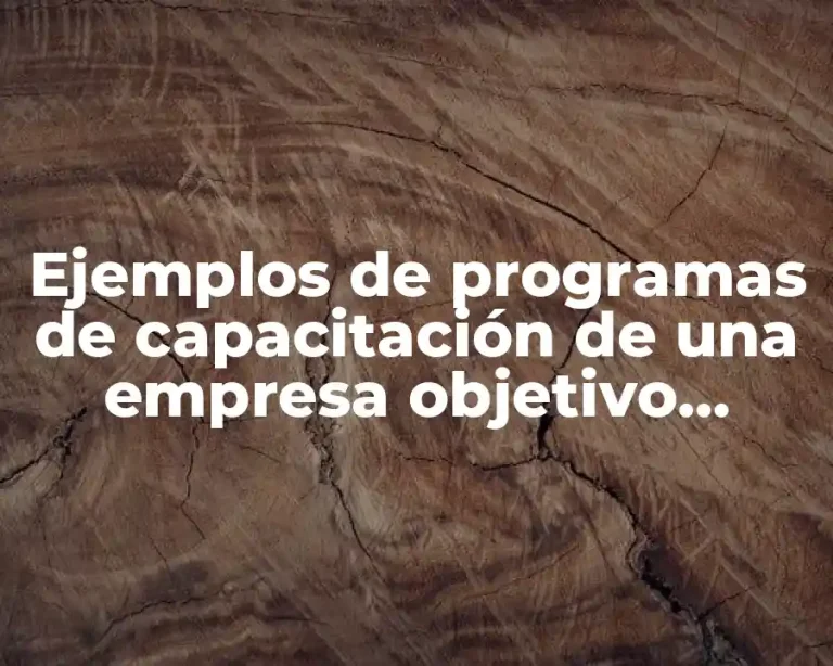 Ejemplos de programas de capacitación de una empresa objetivo general